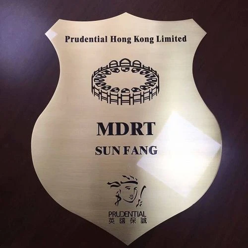 Zinc Alloy Die-Cast Decorative Accessories
